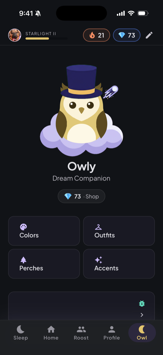 Owly, your customizable dream companion
